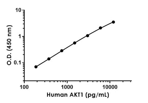 Human AKT1 ELISA Kit (ab214023) 